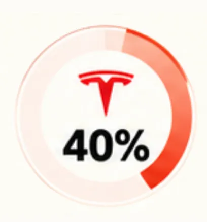 Tesla 池